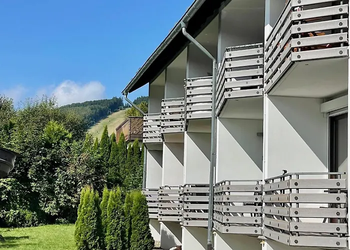 Sternenklar Willingen (Upland)